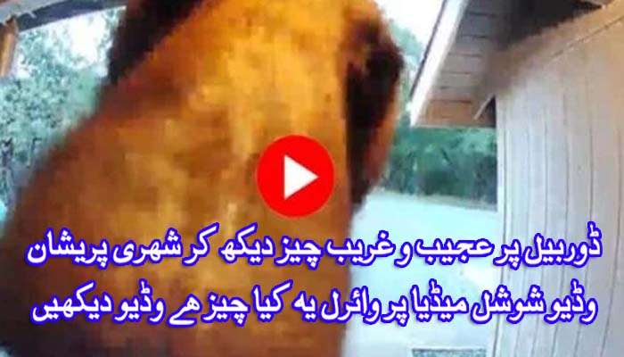 Seeing something strange on the doorbell, the citizen was shocked, the video was viral on social media. Watch the video.