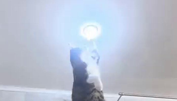 The video of cat fixing the ‘bulb’ has created a sensation on social media, watch the video