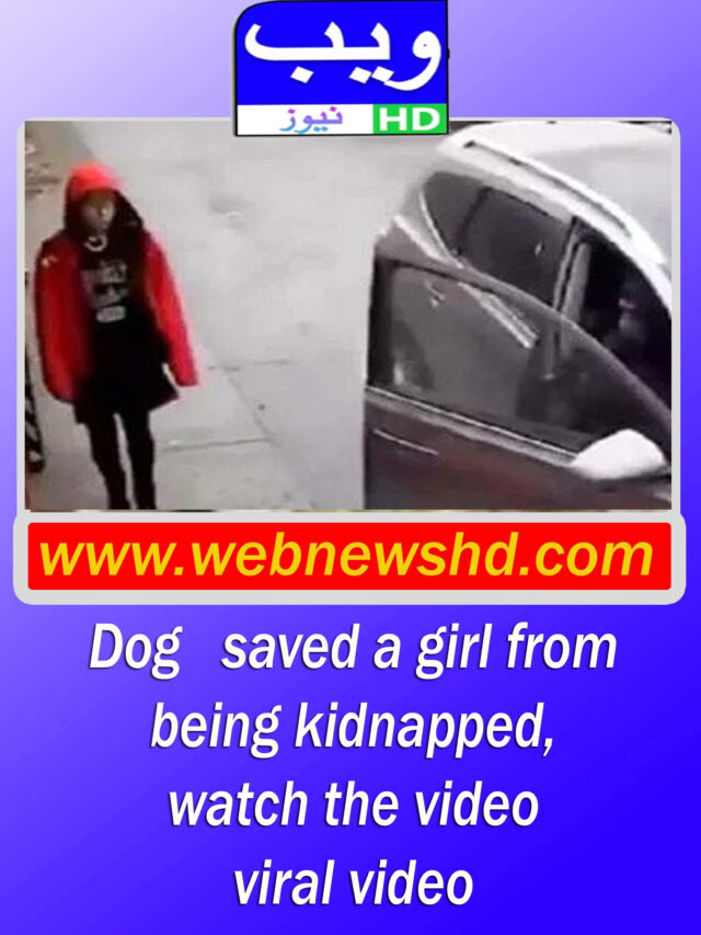dog ​​saved a girl from being kidnapped