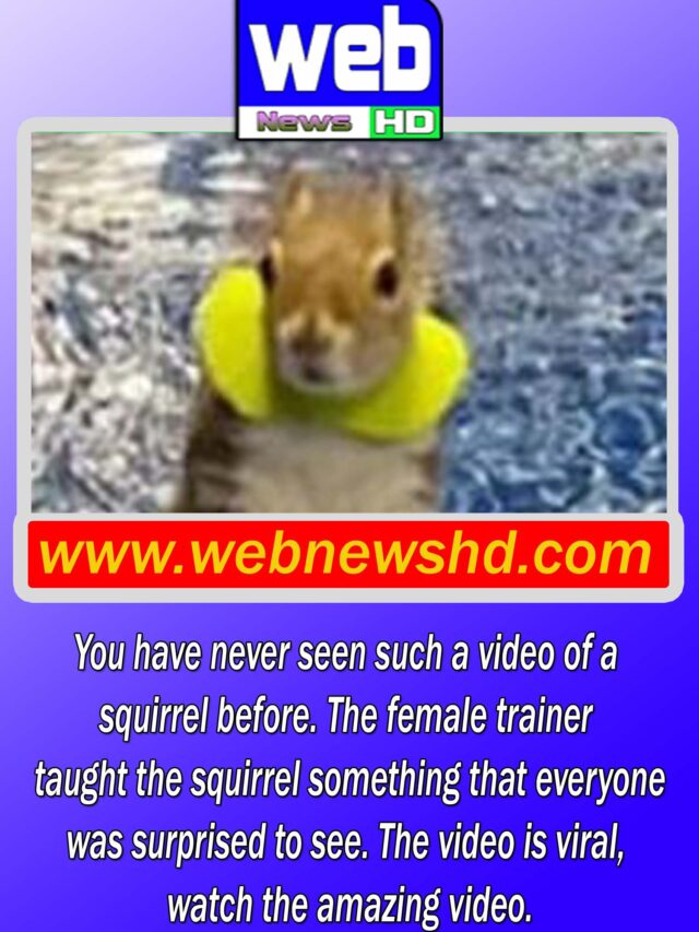 You have never seen such a video of a squirrel before