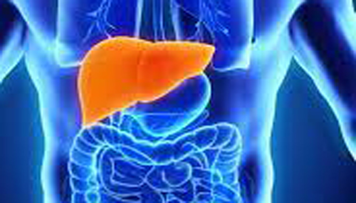 Know what are the causes, symptoms and preventive measures of liver damage